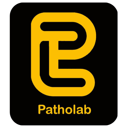 Client Logo 16